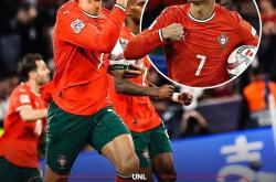 爱游戏中国-葡萄牙翻盘德国，博格巴2高光表现的简单介绍