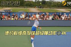 爱游戏在线-包含世界网球队力克美国网球队，德约科维奇统治全场的词条