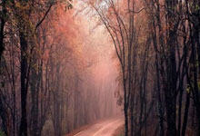 爱游戏中国-爵士后卫全面表现，引领球队取胜