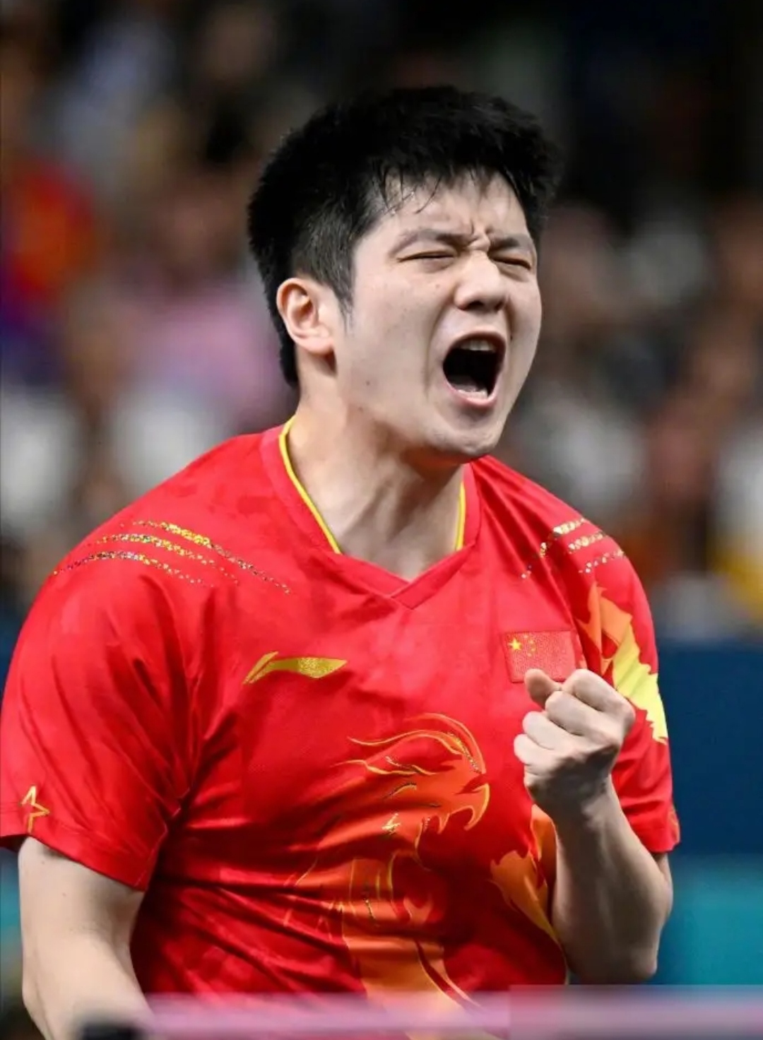 包含国际顶尖运动员备战世界舞台，豪取荣誉的词条