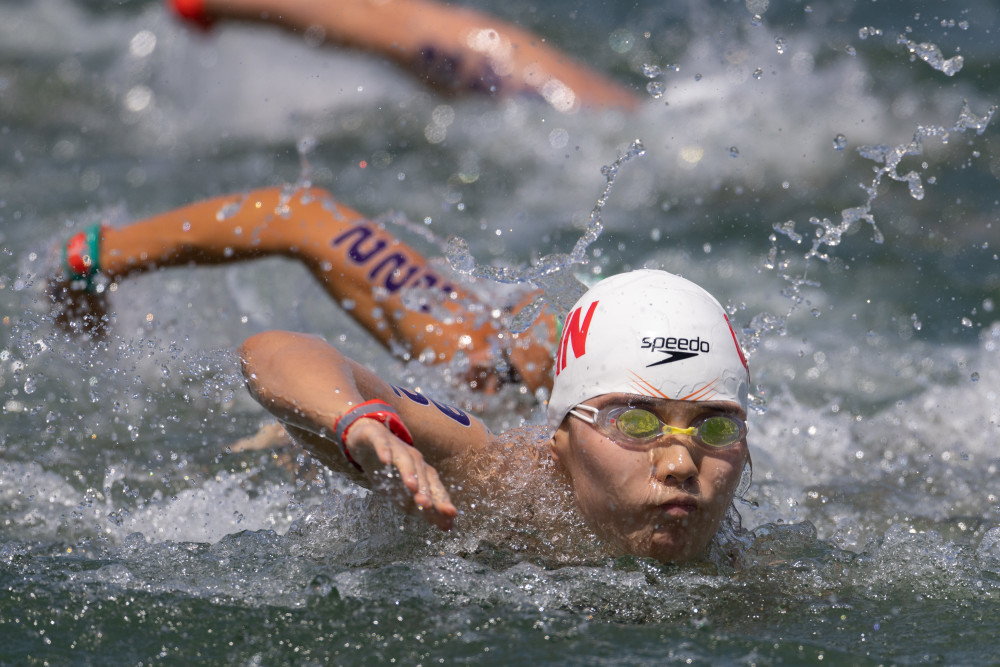 荷兰运动员在游泳比赛中取得佳绩，斩获多金的简单介绍