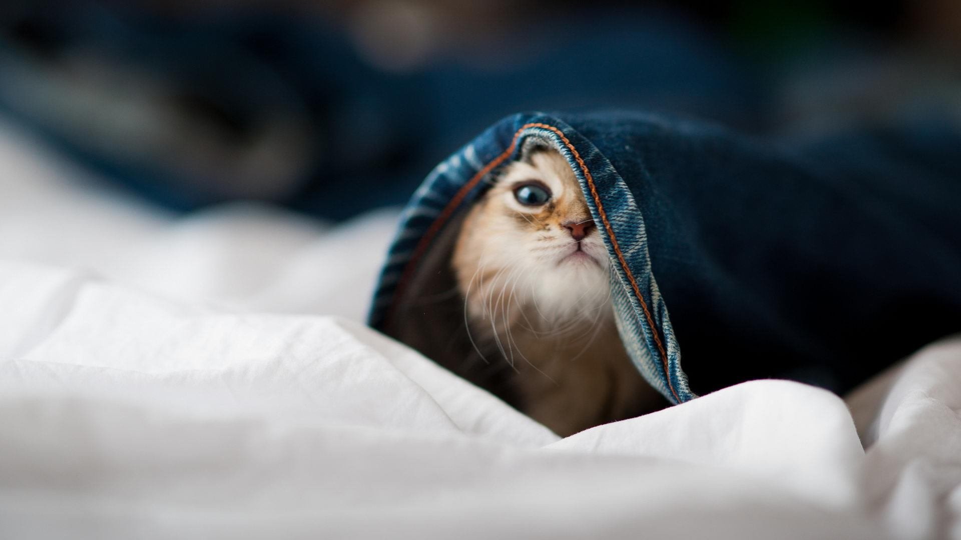 皮克一剑封喉，马里绝杀国际米兰的战术革命与永恒瞬间