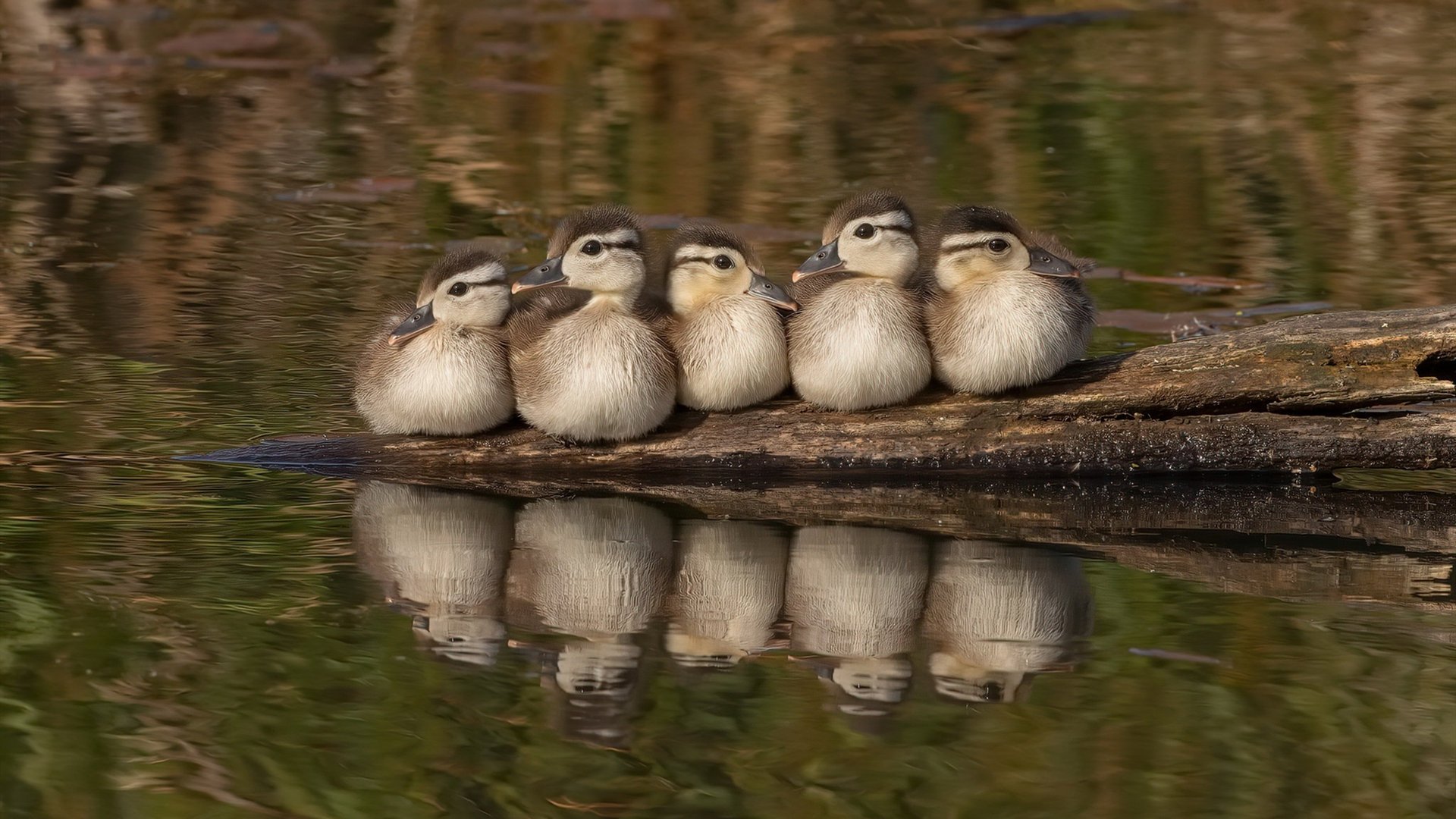 皮克一剑封喉，马里绝杀国际米兰的战术革命与永恒瞬间